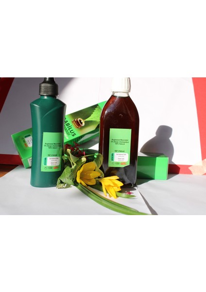 Ajuga Oil(Basur Otu(Basur Otu,mayasıl Otu Yağı)