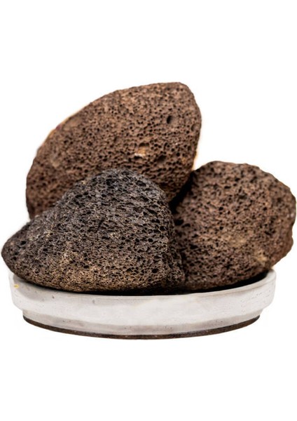 Doğal Topuk Taşı (Fosil) ile Zarif ve Özgün Tasarım