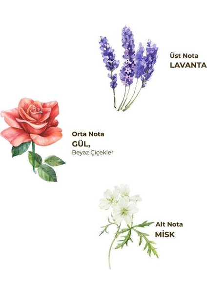 Eyüp Sabri Tuncer Kolonya Pet Şişe Sprey 150 ml Lavanta fiyatları