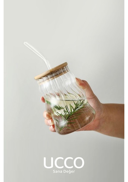 450ML Bambu Kapaklı Cam Pipetli Bardak Smoothie Kokteyl Kahve Çay Limonata Latte Sunum Bardağı indirimleri