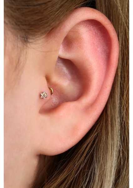 Parlak Yıldız Taşlı Cerrahi Çelik Tragus ve Helix Piercing, 8mm, Gold Renk