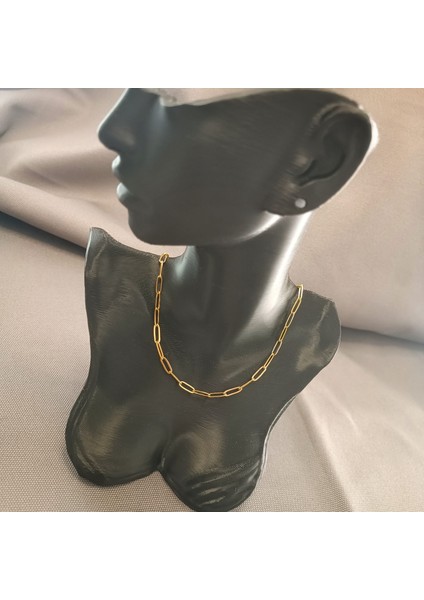Zincir Kolye Gold Renk 316L Çelik fiyatları