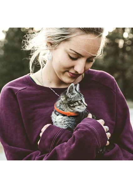 Çok Renkli Doğal Içerikli Kedi Pire Koruma Tasması 38 cm