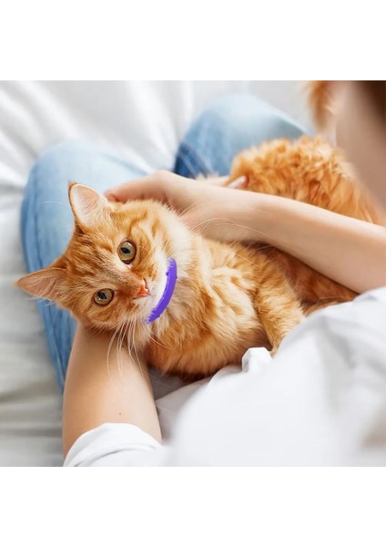 Çok Renkli Doğal Içerikli Kedi Pire Koruma Tasması 38 cm fiyatları
