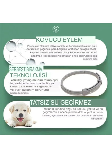 Çok Renkli Doğal Içerikli Kedi Pire Koruma Tasması 38 cm fırsatları