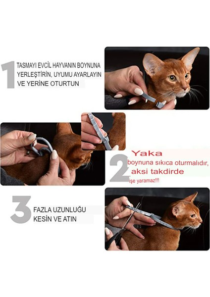 Çok Renkli Doğal Içerikli Kedi Pire Koruma Tasması 38 cm