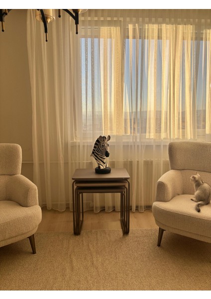 Dekoratif Zebra Figürü Heykel – Siyah Beyaz Modern Masa Üstü Obje ve Hediyelik Ev Ofis Aksesuarı modelleri