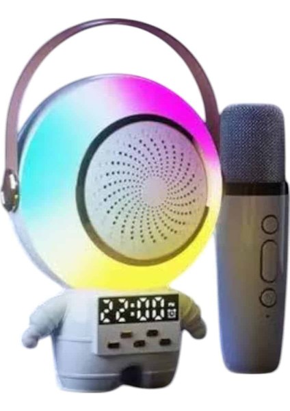 XM-X66 Karaoke Mikrofon