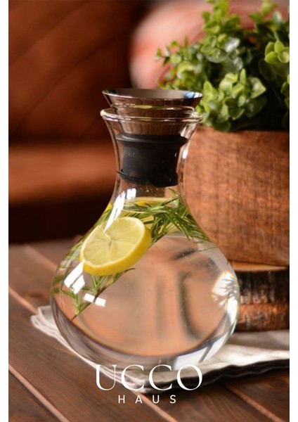Premium Borosilikat Cam Sürahi 1 Litre – Sihirli Kapaklı Şık Cam Sürahi & Elegant Şarap Karafı fırsatları