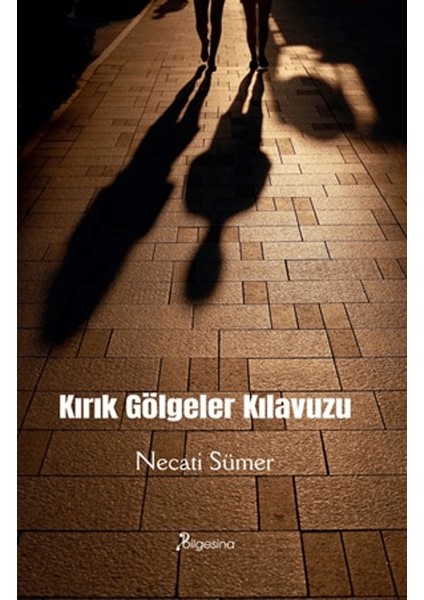 Kırık Gölgeler Kılavuzu