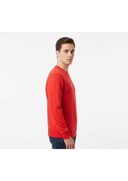 Erkek Regular Basic Sweatshirt fiyatları