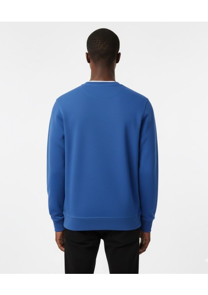 Erkek Regular Basic Sweatshirt modelleri