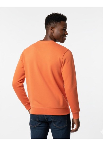 Erkek Regular Basic Sweatshirt modelleri