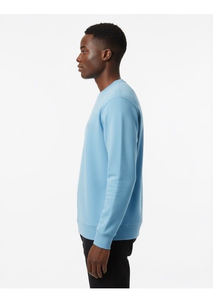 Erkek Regular Basic Sweatshirt fiyatları