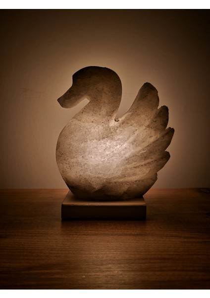 Turuncu Doğal Tuz Lambası, Ördek Motifli, Çankırı Doğal Tuz, Sıcak ve Şık Dekorasyon