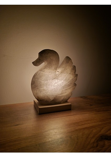 Turuncu Doğal Tuz Lambası, Ördek Motifli, Çankırı Doğal Tuz, Sıcak ve Şık Dekorasyon fiyatları