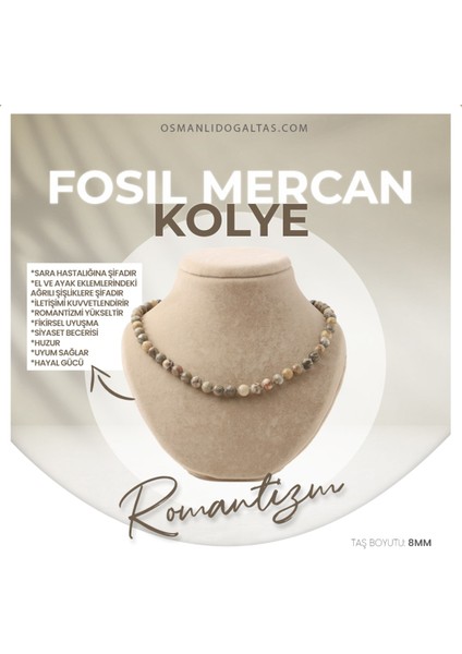 Fosil Mercan Doğaltaş Kolye 8mm, Şık ve Doğal Takı, M516