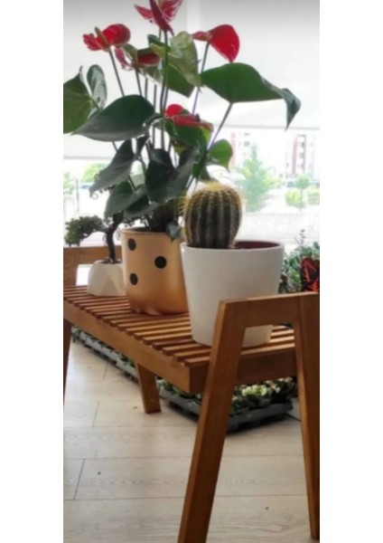 Ahşap Kahverengi Saksılık ve Çiçeklik Düzenleyici Raf Sehpa