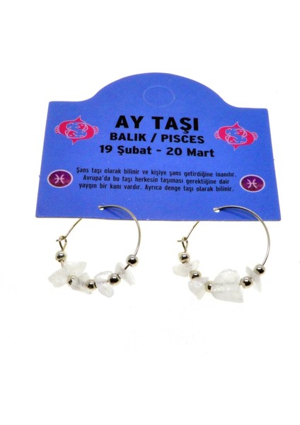 Doğal Taş Balık Burcu Ay Taşı Küpe, Şık ve Zarif Takı Seçeneği