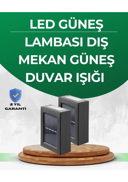 Buğz Şeffaf Abajurlu Duvar Tipi Solar Işık