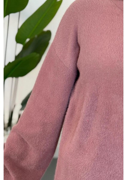 Fiorina Ispanyol Kol Kedi Sakal Kazak Gül Kurusu fırsatları