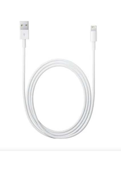 ZR933 Lighting Kablo 5 M