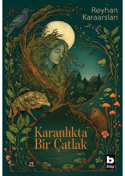 Karanlıkta Bir Çatlak