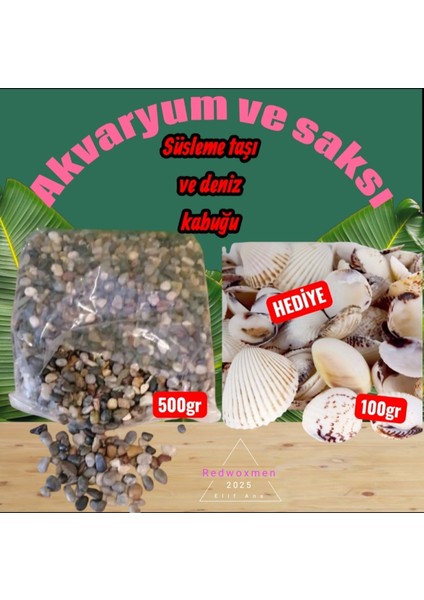 Doğal Deniz Taşı, Çok Amaçlı Akvaryum ve Teraryum Dekorasyonu Için Mükemmel Seçim