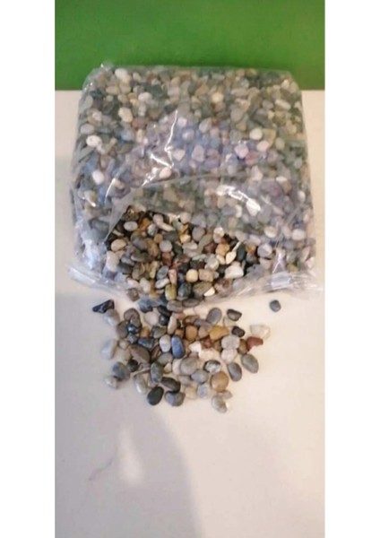 Doğal Deniz Taşı, Çok Amaçlı Akvaryum ve Teraryum Dekorasyonu Için Mükemmel Seçim fiyatları