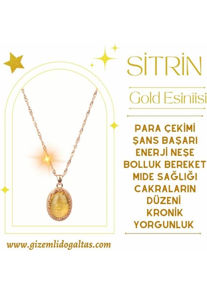 Renkli Sitrin ile Enerji ve Bereket Dolu Günler Keyfi