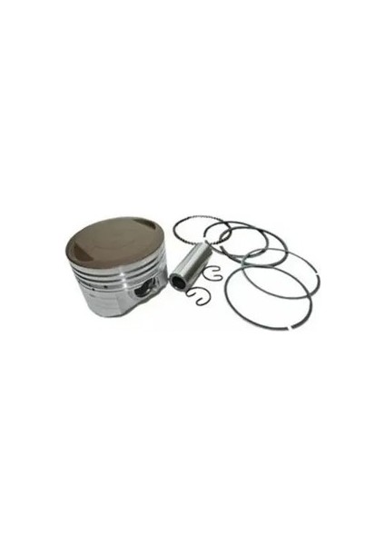 8770856STD Piston+Segman Olcu: Std