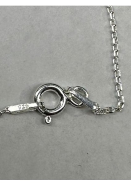 925 Ayar Gümüş Hayalet Zincir Kolye, Şık ve Zarif Tasarım, Beyaz Renk. fırsatları