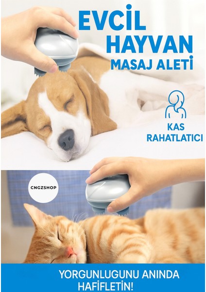 Su Geçirmez Taşınabilir Tüm Vücut Masaj Aleti, Kafa, Bel, Boyun, Sırt ve Ayak Için modelleri