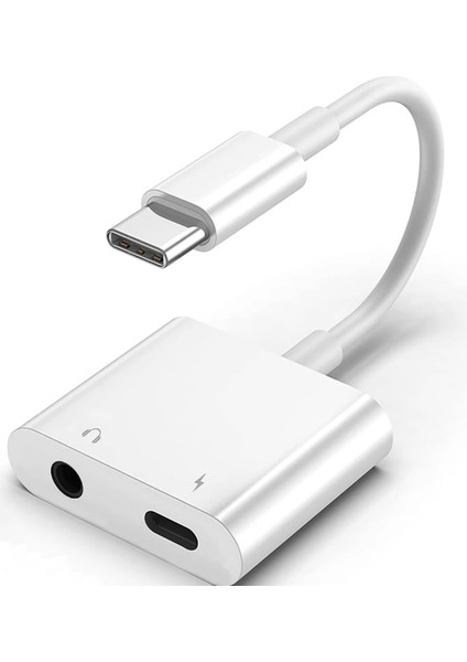 ZR733 GL054-1 Type-C Aux Şarj Çevirici