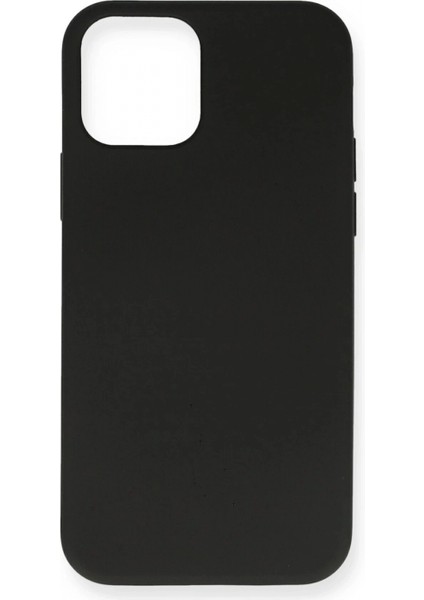 iPhone 12 Mini Kılıf Nano Içi Kadife Silikon - Siyah
