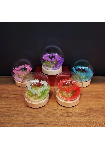 Bfs LED Işıklı Lale Cam Fanus fiyatları