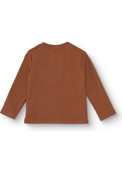 Erkek Bebek Uzun Kol Tshirt Interlok Bisiklet Yaka Uzun Kol fiyatları