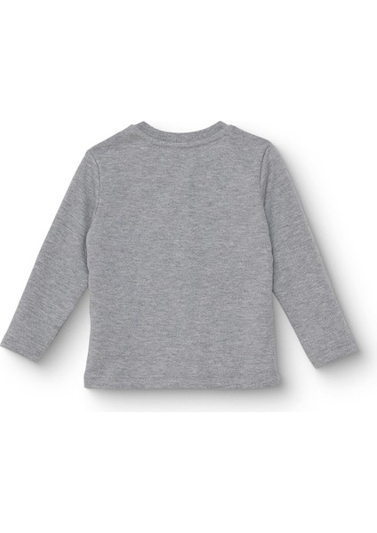 Erkek Bebek Uzun Kol Tshirt Interlok Bisiklet Yaka Uzun Kol fiyatları