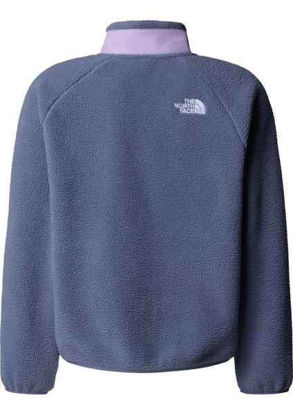 TNF0A8AZHDIN1 The North Face G Yumıorı Full Zıp Jacket &amp;ccedil;ocuk Ceket Mor fiyatları