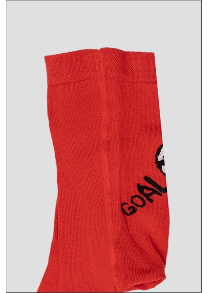 3 Adet Spor Konseptli Pamuklu Erkek Bebek ve Çocuk Külotlu Çorap modelleri