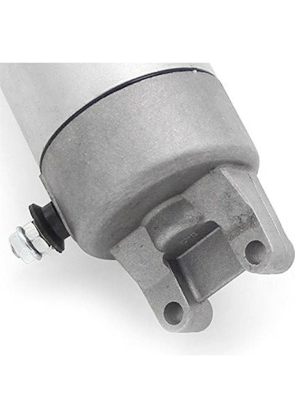Aprilia Için Başlangıç ​​motoru Scarabeo 125 2007-2012 Aprilia Scarabeo 200 2007-2012 Aprilia Motor AP2QCA000648 Yüksek Kalite (Yurt Dışından) indirimleri