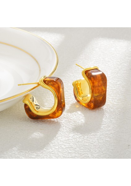 ADORE-R0386 Kahverengi Reçine C Şeklinde Çivi Küpe (Yurt Dışından) fiyatları