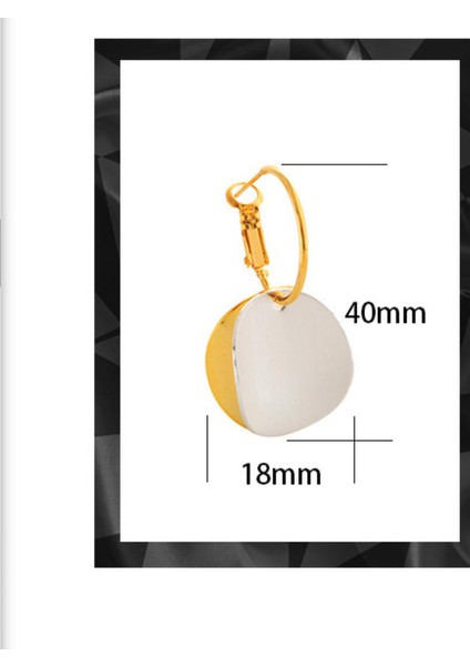 ADORE-R0422 Fırçalanmış Geometrik Yuvarlak Iki Renkli Pullu Sırtlı Küpe (Yurt Dışından) fiyatları