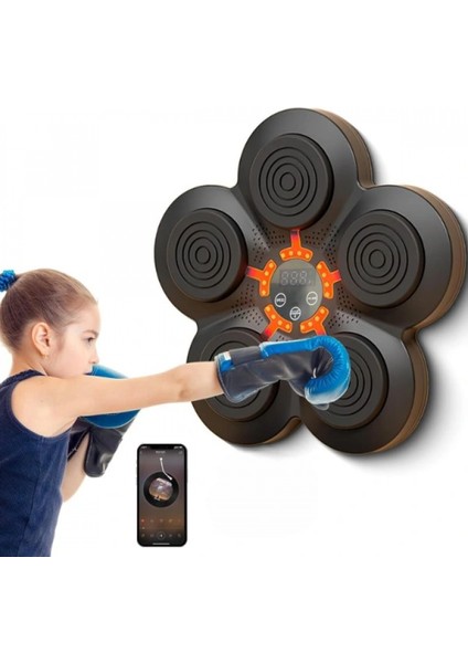 Müzikli Boks Makinesi fiyatları