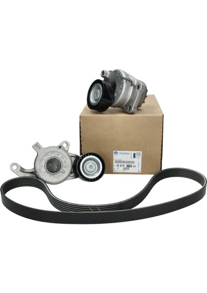 V Kayış Seti 1687977080 / Expert Traveller Jumper Jumpy 508 Ds5