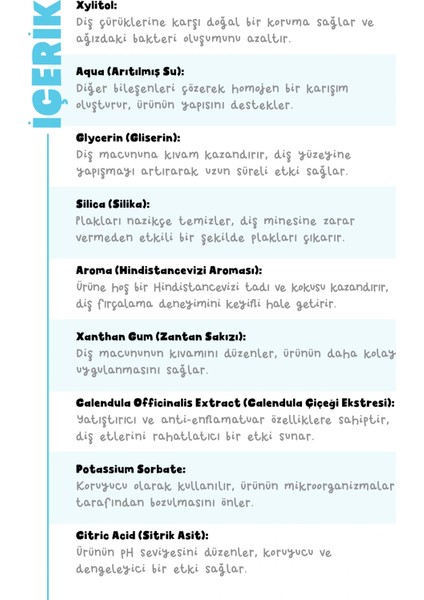 Hindistan Cevizi Doğal Diş Macun 3'lü Set 50 gr x3 fırsatları