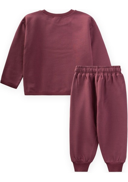 Sweatshırt Takım 1-5 Yaş Mürdüm fiyatları