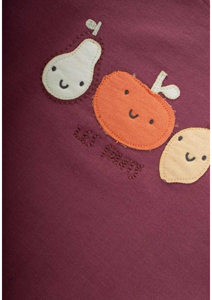 Sweatshırt Takım 1-5 Yaş Mürdüm modelleri