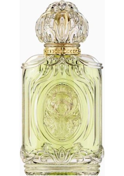 Oceanus Collection Elixir Edp 100 ml Unisex Parfüm