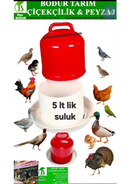 Bulancak 5 Lt Lik Tavuk,kuş,civciv Suluğu Çift Korumalı Değişik Renklerde Göderim Yapılmaktadır.